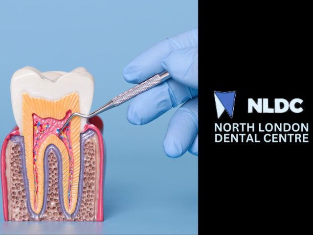 Choosing the Right Dental Training Course: CPD, Diplomas, and Career Progression