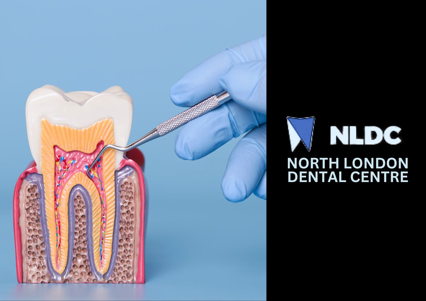 Choosing the Right Dental Training Course_ CPD, Diplomas, and Career Progression